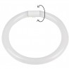 TUBO CIRCULAR LED15W 6500ºK