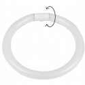 TUBO LED CIRCULAR 32W 6500K