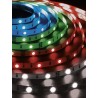 TIRA LED 6M CON MANDO Y RGB