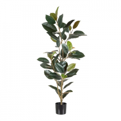 PLANTA FICUS VERDE OSCURO 125 CM