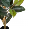 PLANTA FICUS VERDE OSCURO 125 CM