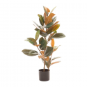 PLANTA FICUS VERDE OSCURO 90 CM