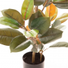 PLANTA FICUS VERDE OSCURO 90 CM